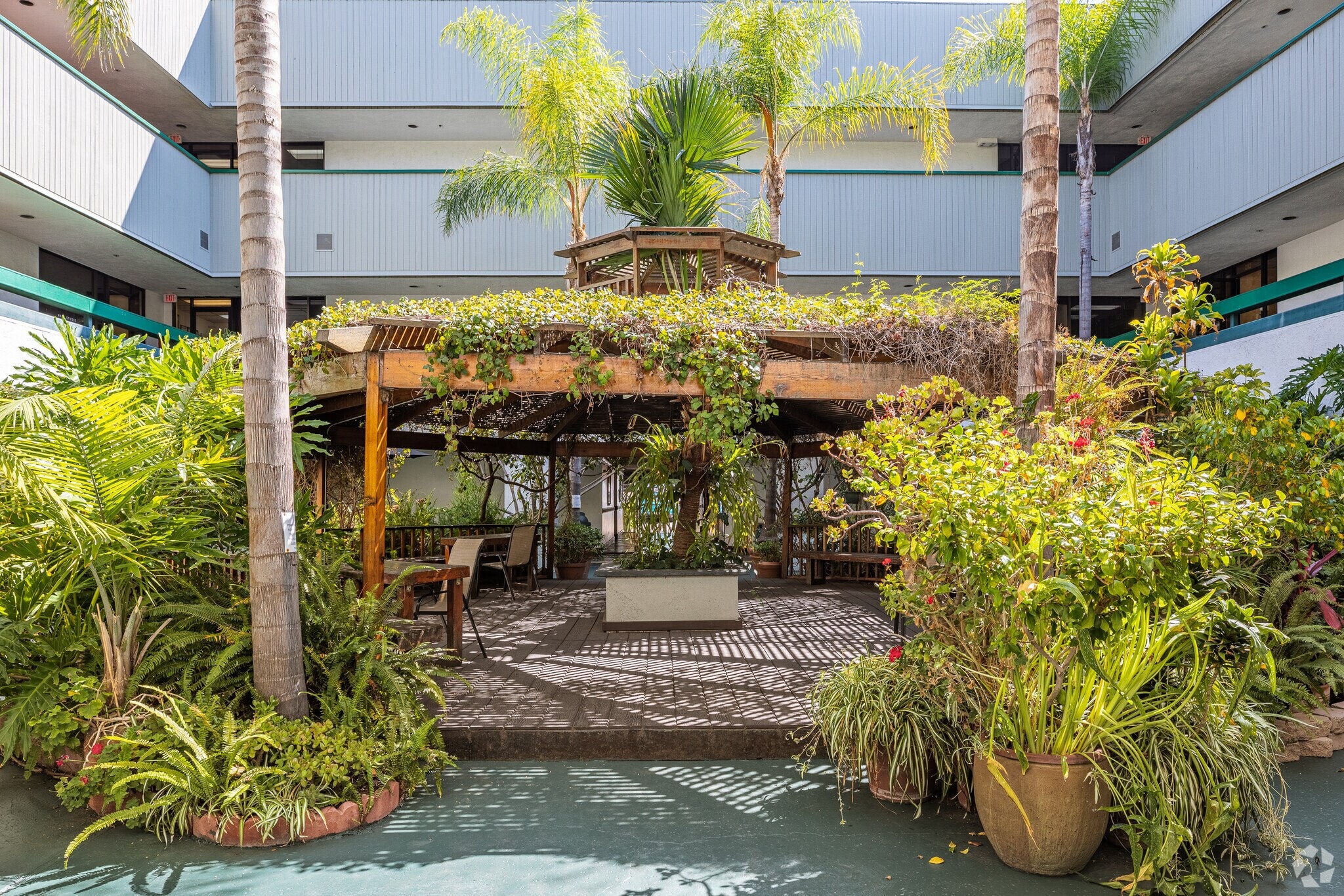 Gael's Wallcoverings building courtyard with tropical garden